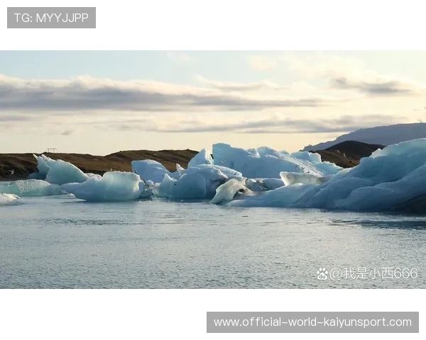 状态冰火两重天，多特志在必得？——在极端中寻找温度，在坚持中实现可能