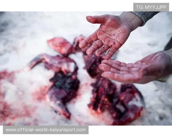 黑熊城市咬人致死，场面令人震惊，黑熊咬人电影